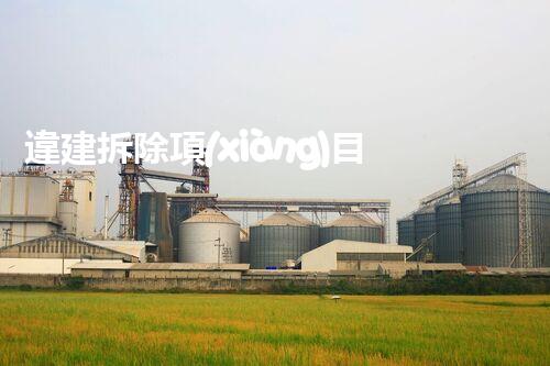 違建拆除項(xiàng)目：重塑都市風(fēng)貌，共建和諧家園